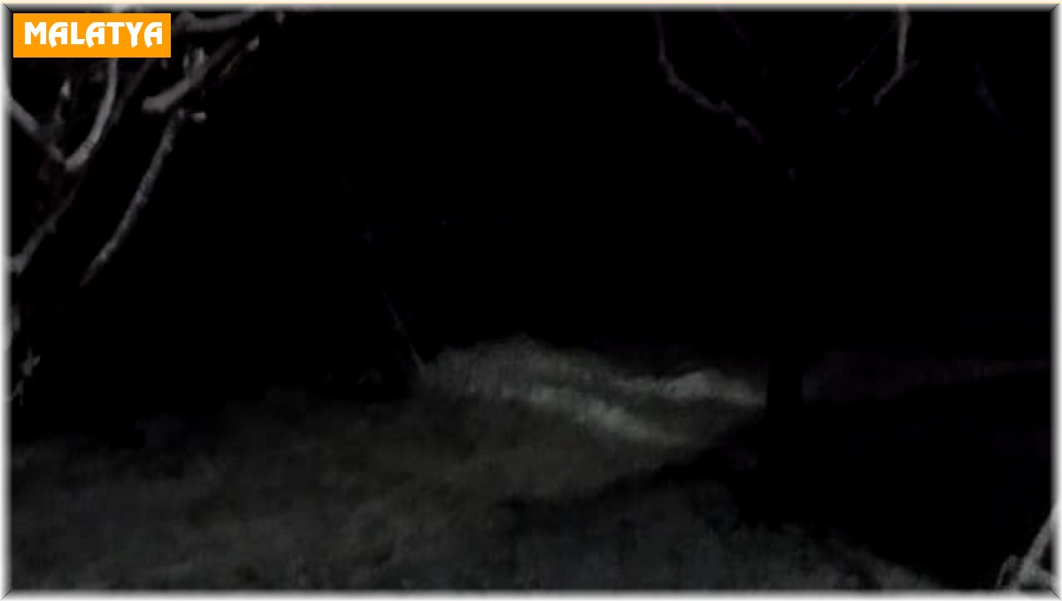 Malatya'ya nisan ayı yağan kar şaşırttı