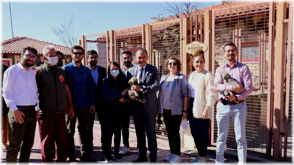 Malatya'ya tam teşekküllü hayvan hastanesi