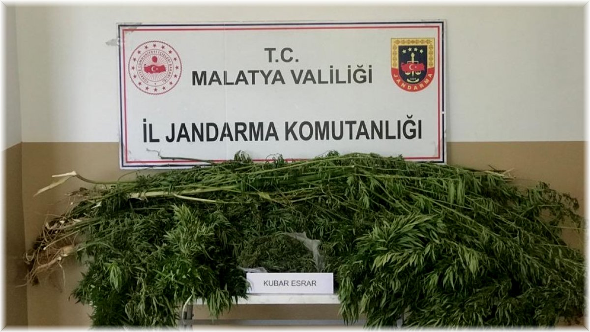Malatya’da 1 kilo esrar ele geçirildi