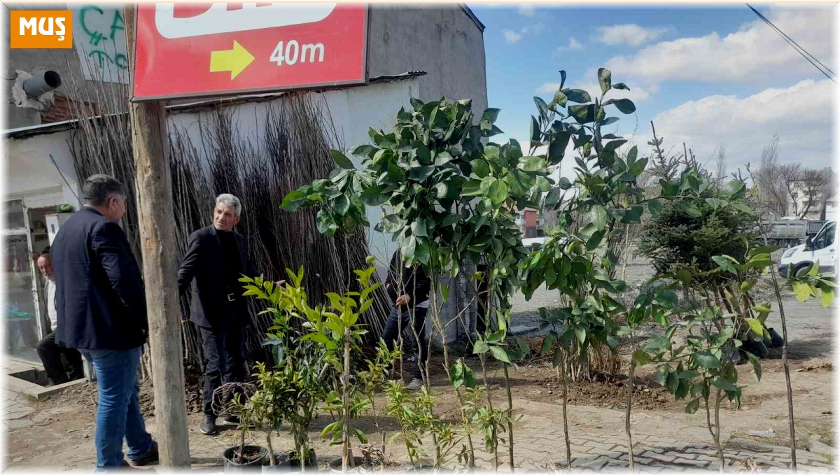 Malazgirt'te fidan satışları başladı