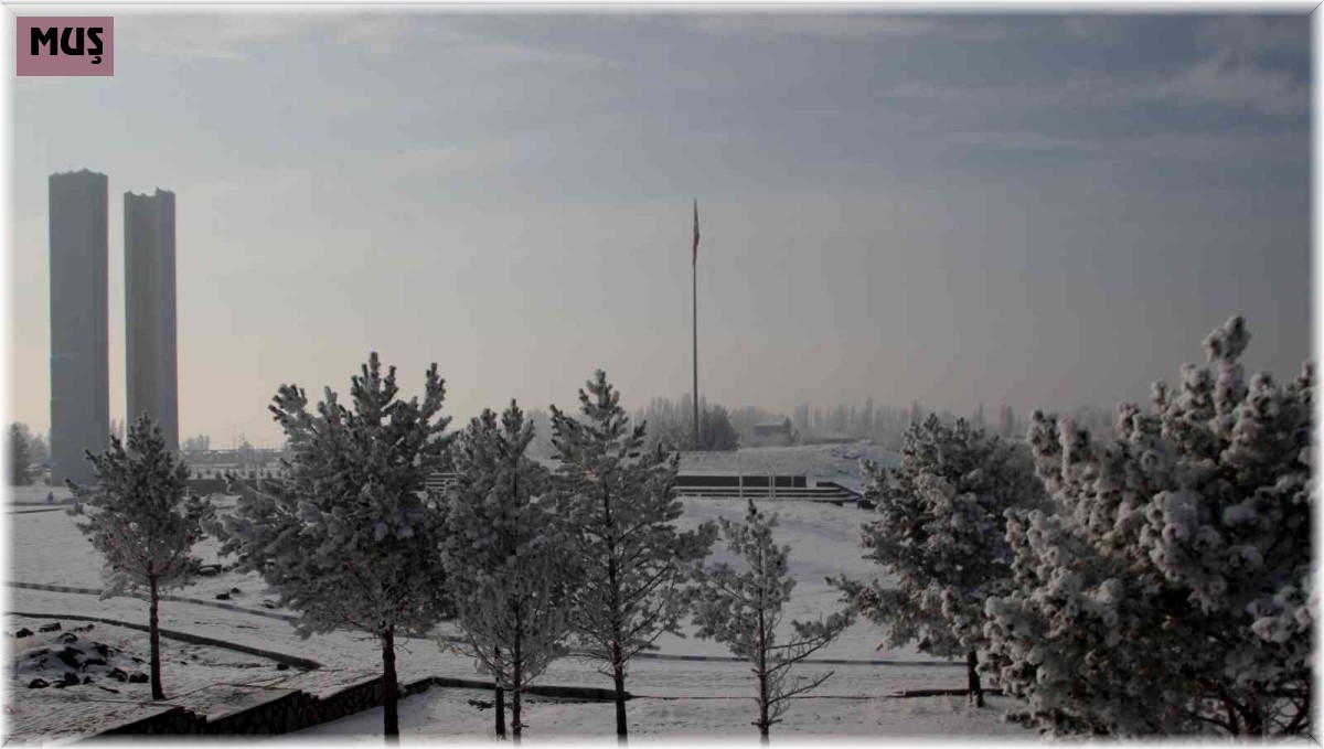 Malazgirt'te kırağı ile gelen güzellik