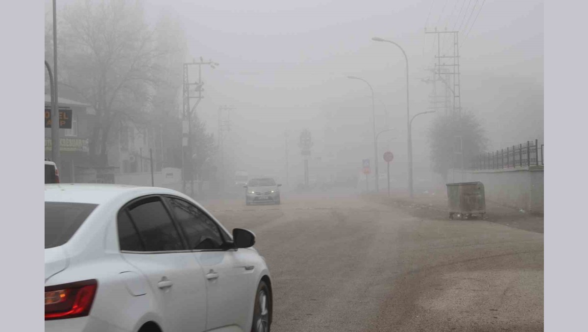 Malazgirt'te sis etkili oldu