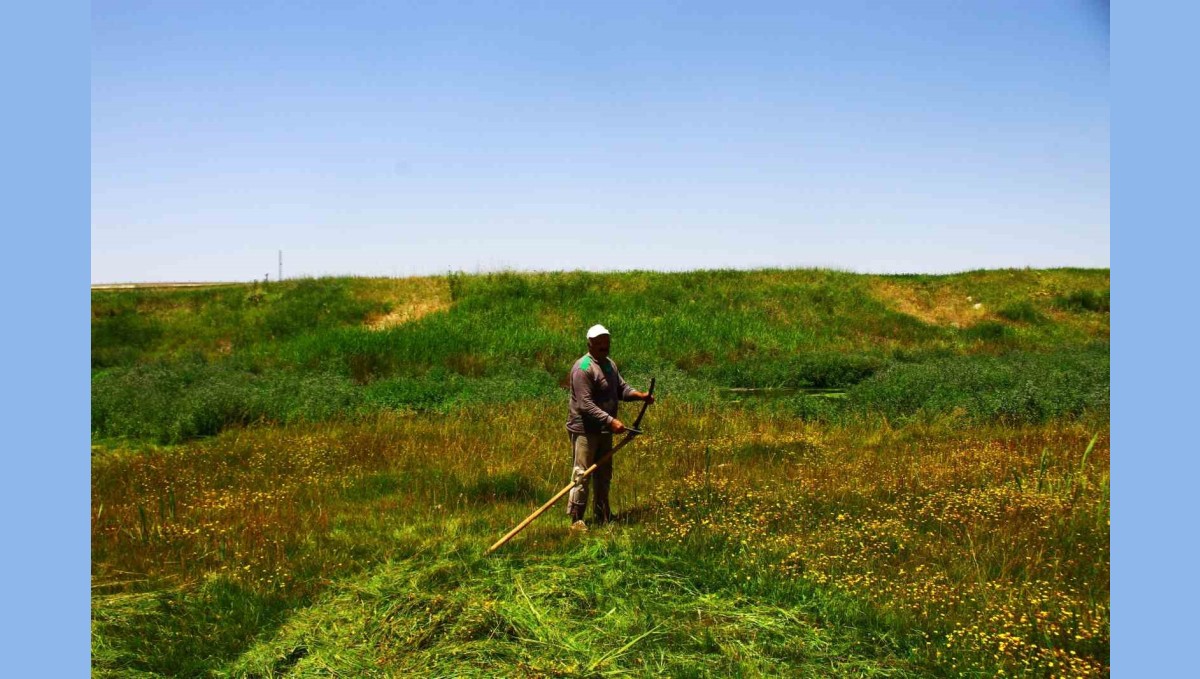 Malazgirt'te tırpanın son ustası
