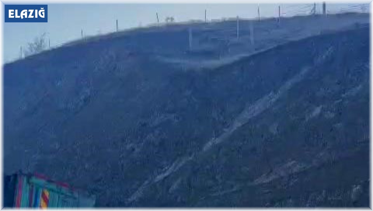 Mandalina yüklü kamyon yan yattı: 1 yaralı