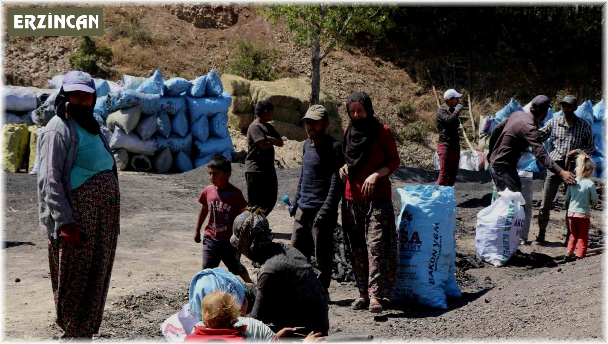 Mangal kömürü üretmek için gece gündüz mesai yapıyorlar
