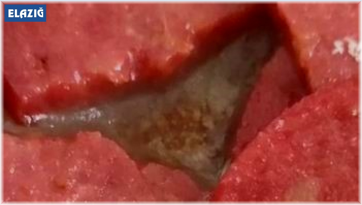 Marketten aldığı sucuğun içinden kurtçuk fışkırdı