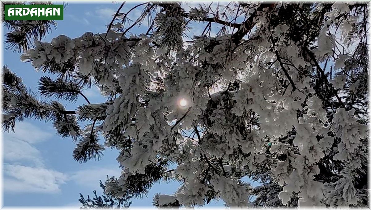 Mart ayında dondurucu soğuklar: Göle eksi 15