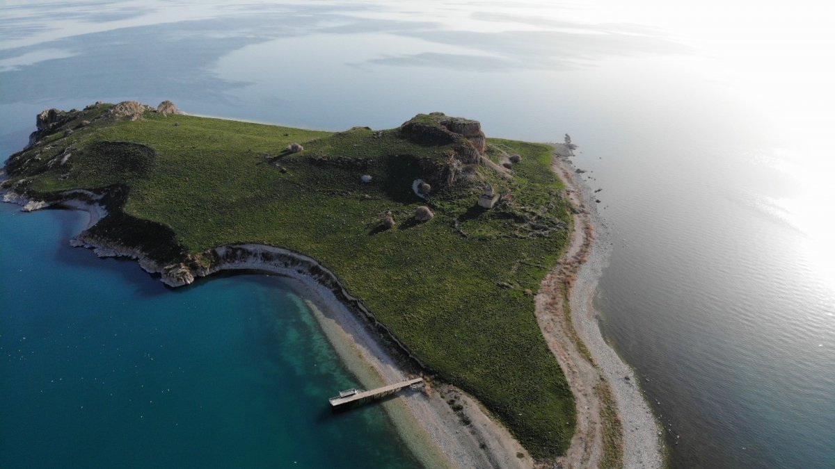 Martılar, Çarpanak Adası'nda kuluçkaya girdi