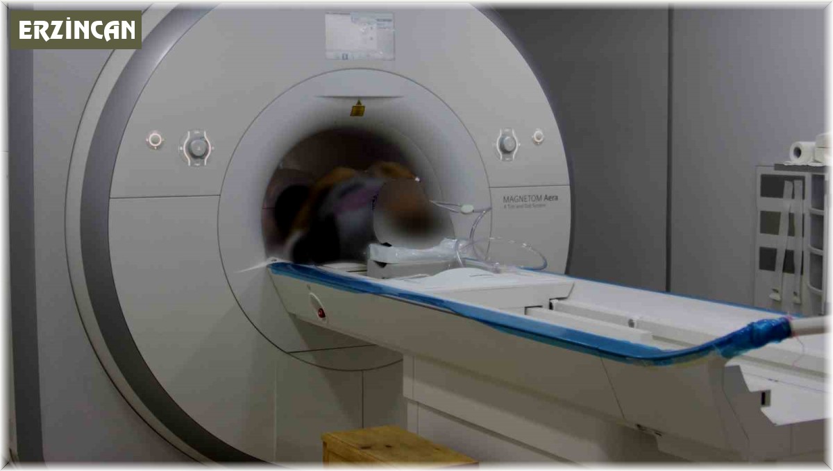 Masa başı çalışan hemoroid hastaları, 2 saatte bir mola verip yürüyüş yapmalı