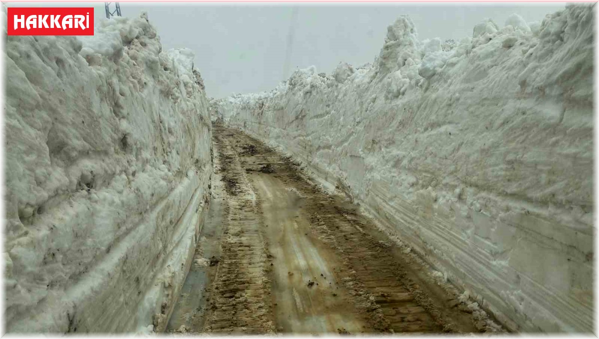 Mayıs ayında 5 metreyi bulan karda yol açma çalışması sürüyor