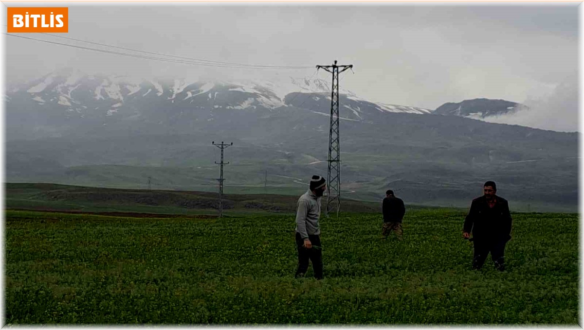 Mayıs ayında kar yağdı, vatandaş yeniden soba kurdu