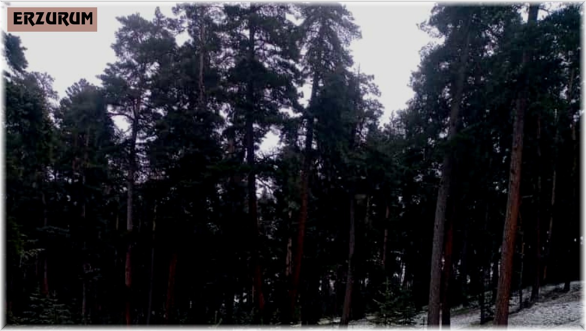 Mayıs ayında kar yağışı sürprizi