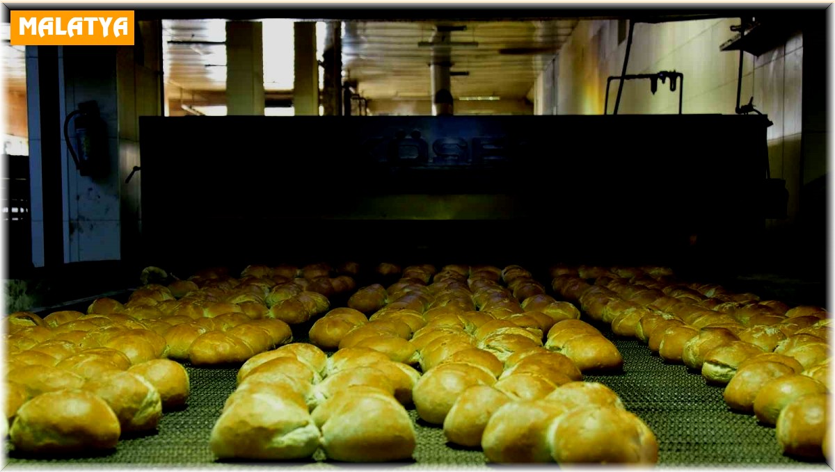 MEGSAŞ günlük 250 bin ekmek üretiyor
