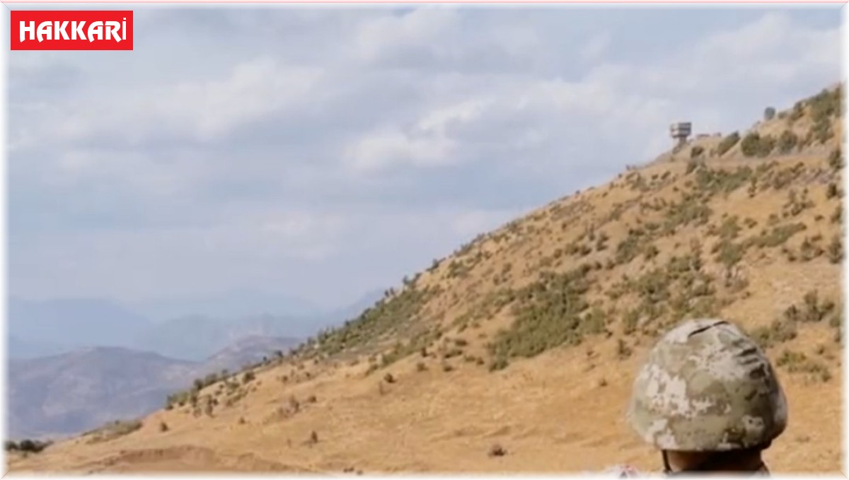 Mehmetçiğin baktığı kedi ve köpeğe sosyal medyada büyük ilgi