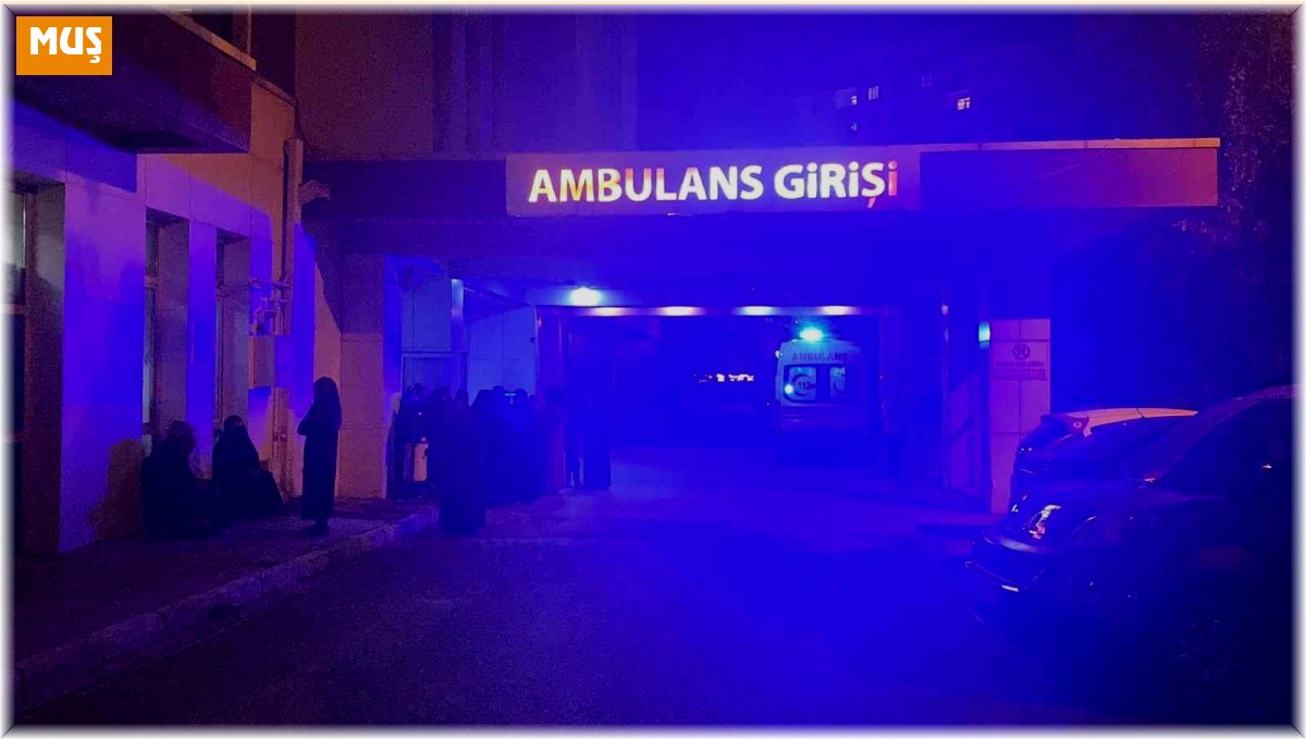 Mehmetçik ağaçtan düşen genç için seferber oldu