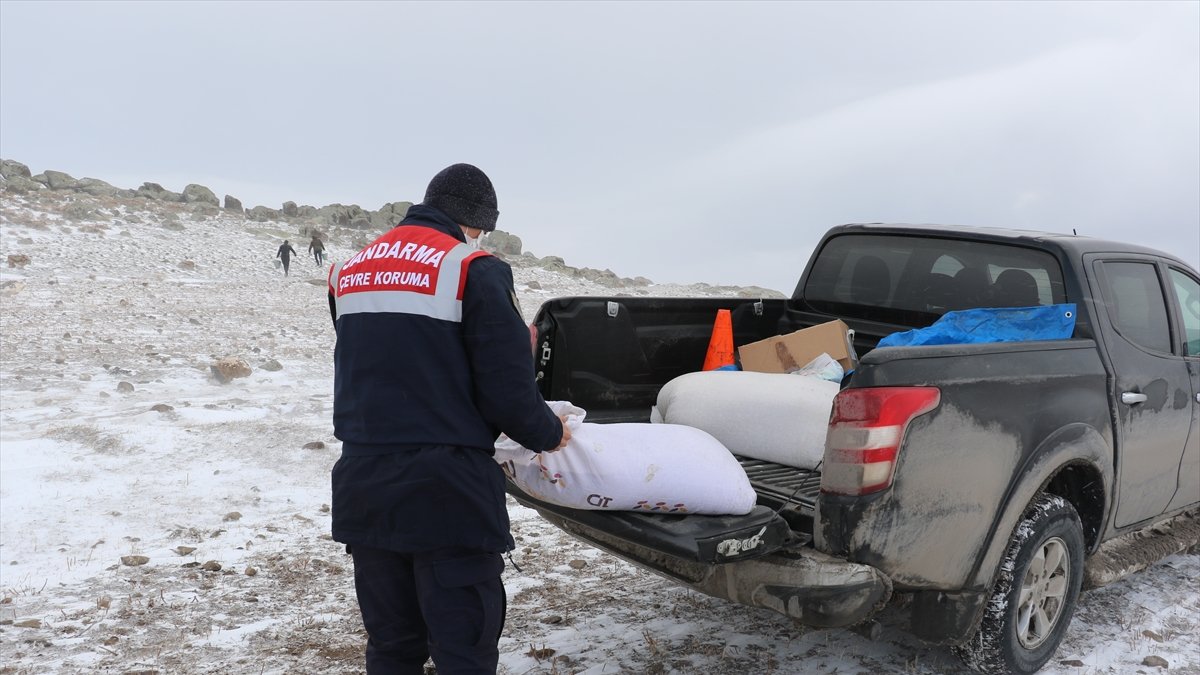 Mehmetçik çetin kışın yaşandığı Ağrı'da yaban hayvanlarını unutmadı