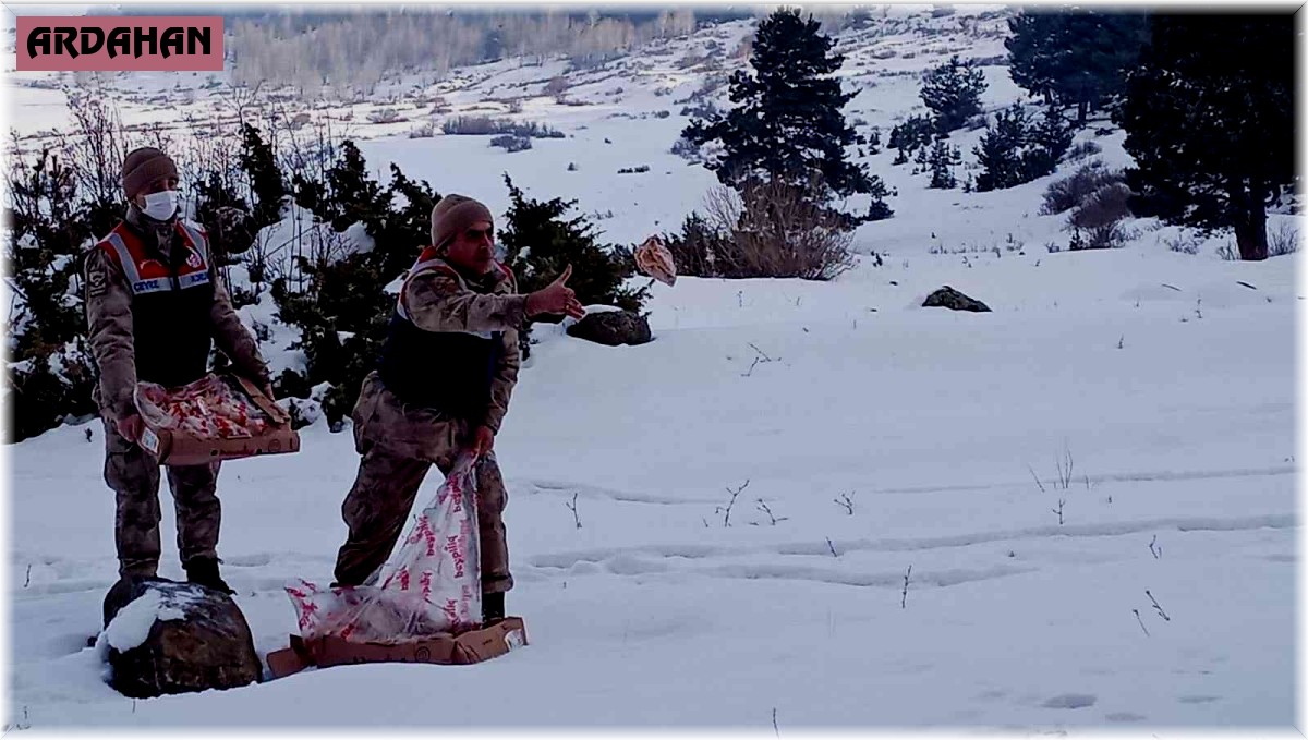 Mehmetçik yaban hayatı unutmadı