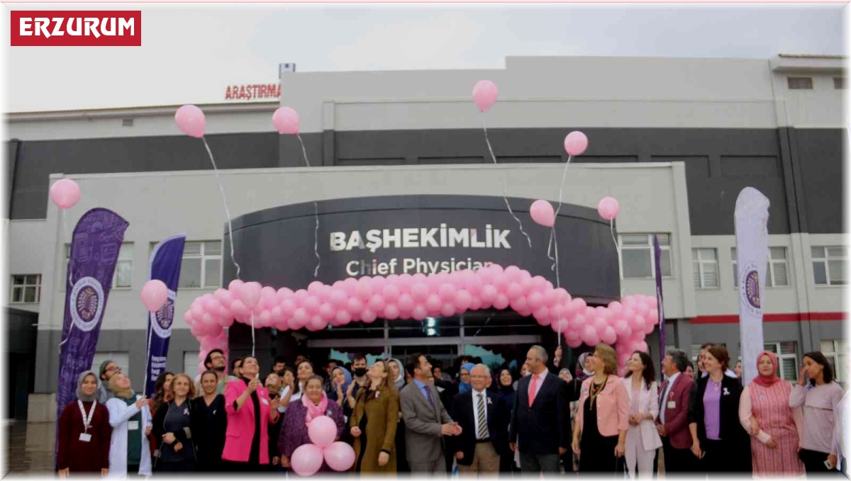 Meme kanserine dikkat çekmek için pembe balon uçurdular