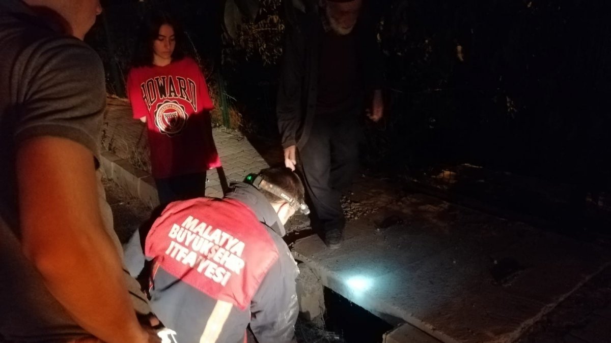 Menfeze düşen kediyi itfaiye kurtardı