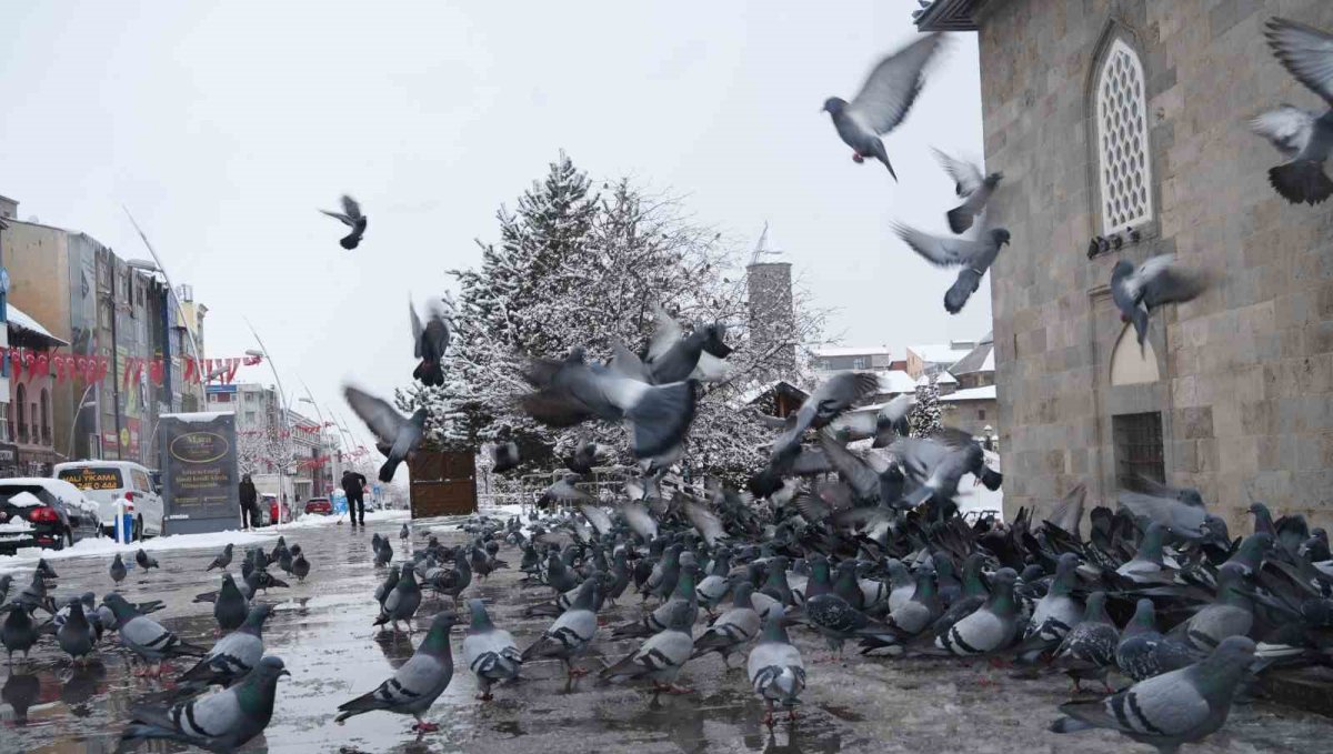 Meteorolojiden çığ, don ve buzlanma uyarısı