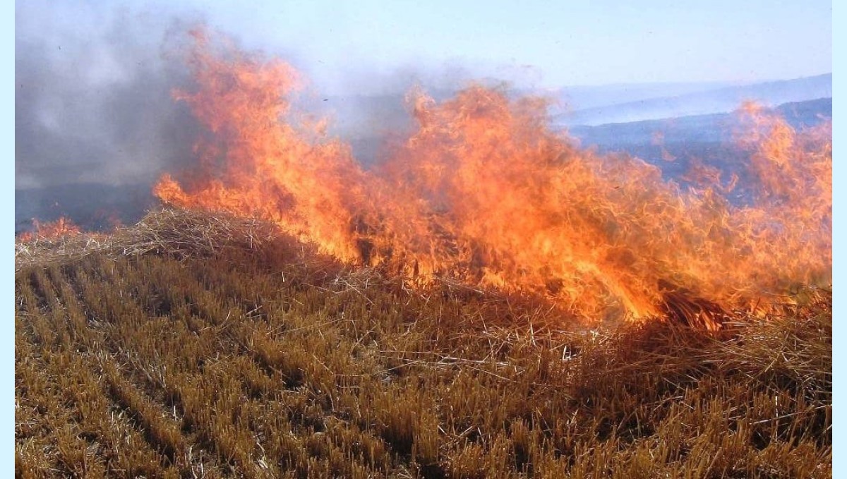 Meteorolojiden Erzincan ve çevresi için orman yangını uyarısı