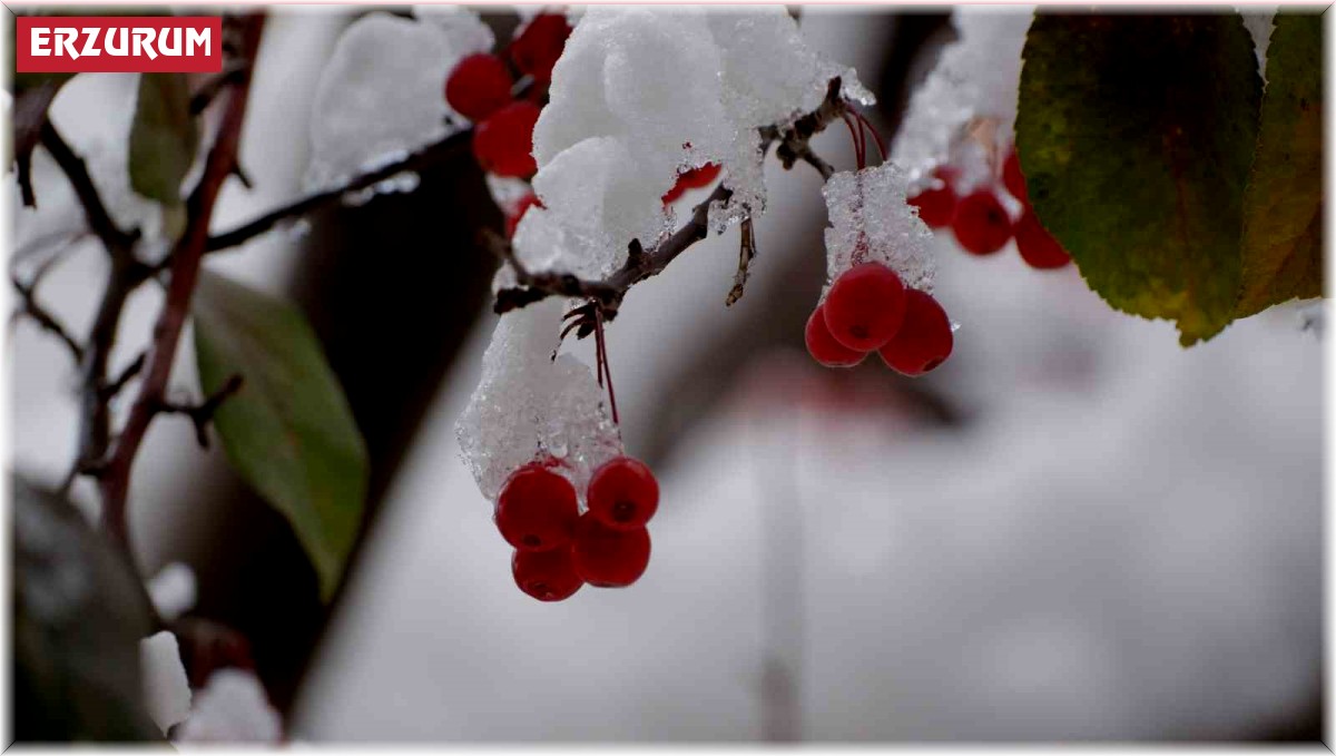 Meteorolojiden fırtına uyarısı