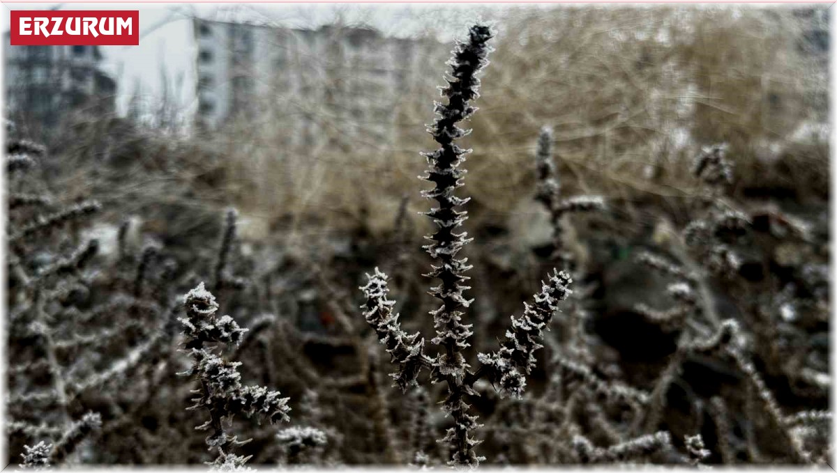 Meteorolojiden zirai don uyarısı