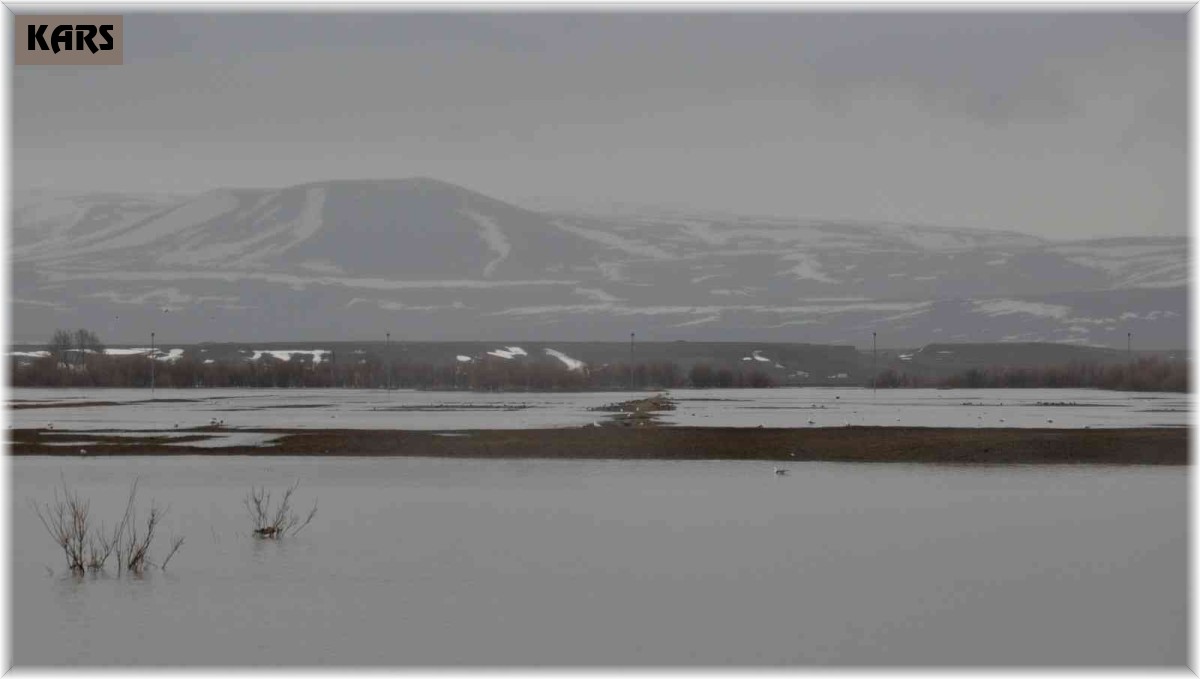 Meteorolojinden Kars için 'sarı' uyarı
