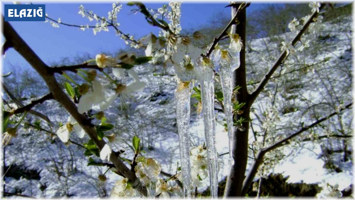 Meteorolojinin zirai don uyarısı sürüyor