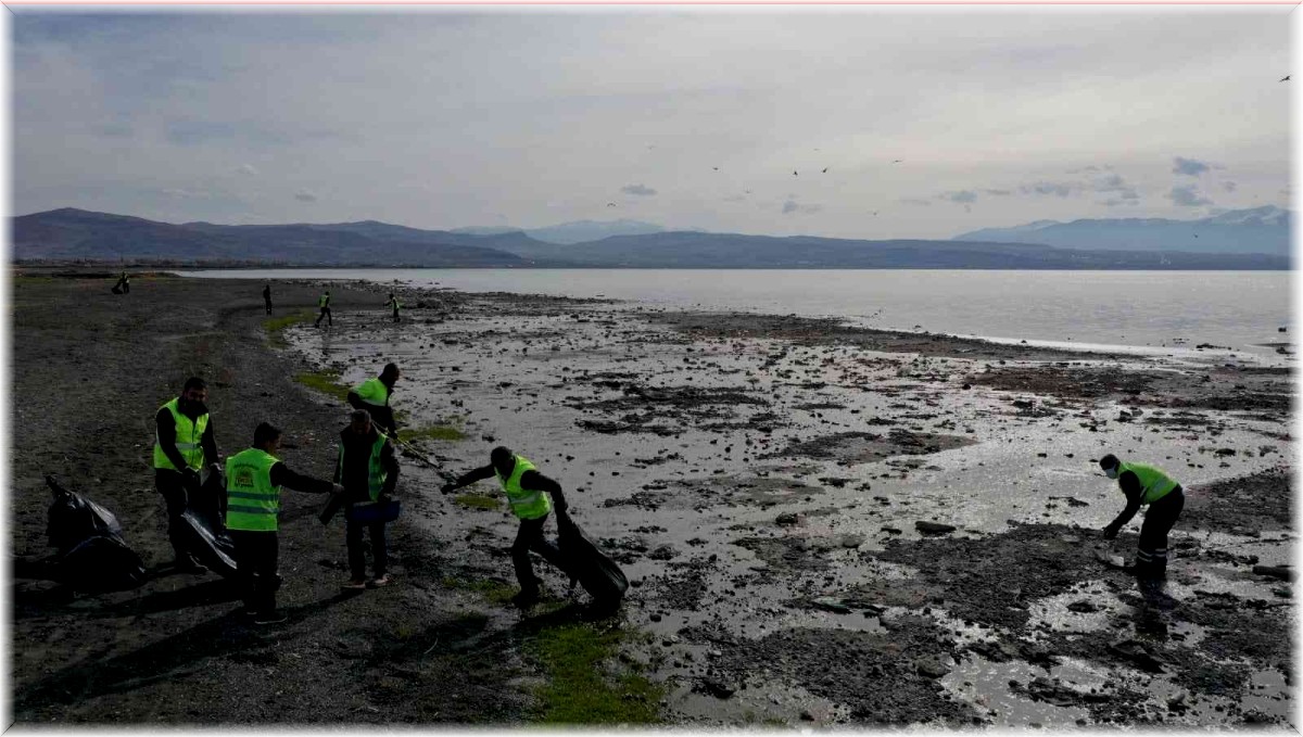 Metrelerce geri çekilen Van Gölü sahilinde 40 ton çöp toplandı