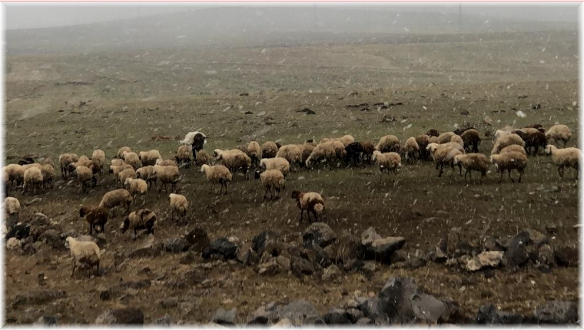 Metroloji günler önce uyarmıştı