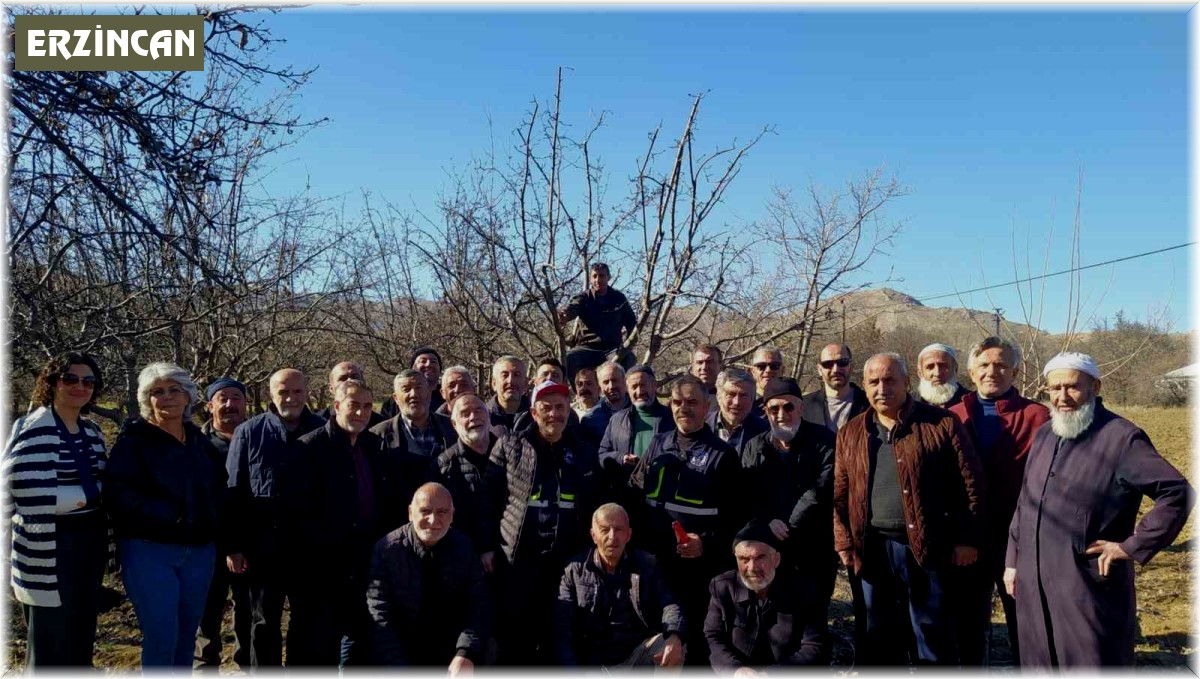 Meyve bahçelerinde budama kursu