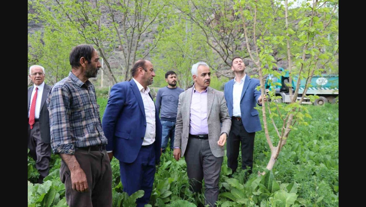 'Meyve deposu' Ayvalı Mahallesi'nde don meyve ağaçlarına zarar verdi