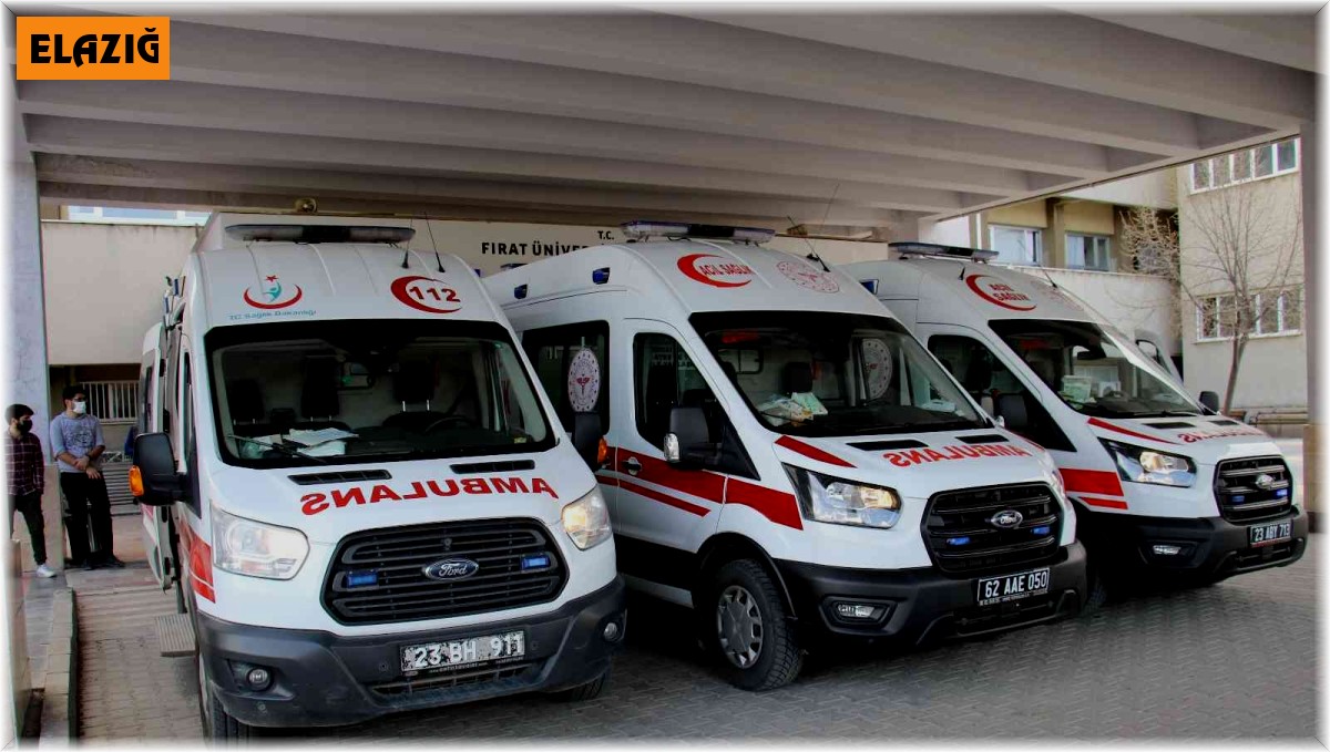 Mezarlığa çiçek ekme konusu silahlı kavgaya dönüştü, kuzenler birbirini vurdu