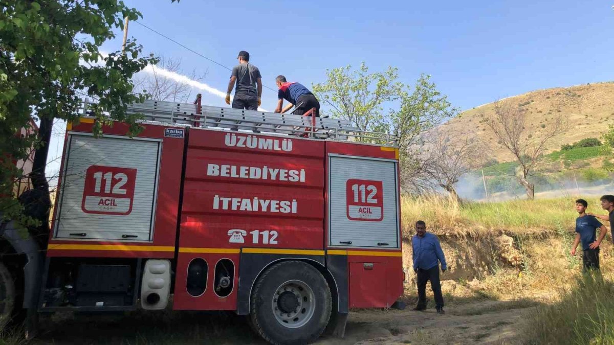 Mezarlıktaki kuru otlar yandı