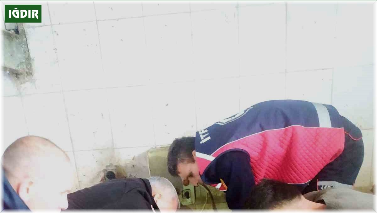 Mezbahada işçi kolunu makineye kaptırdı