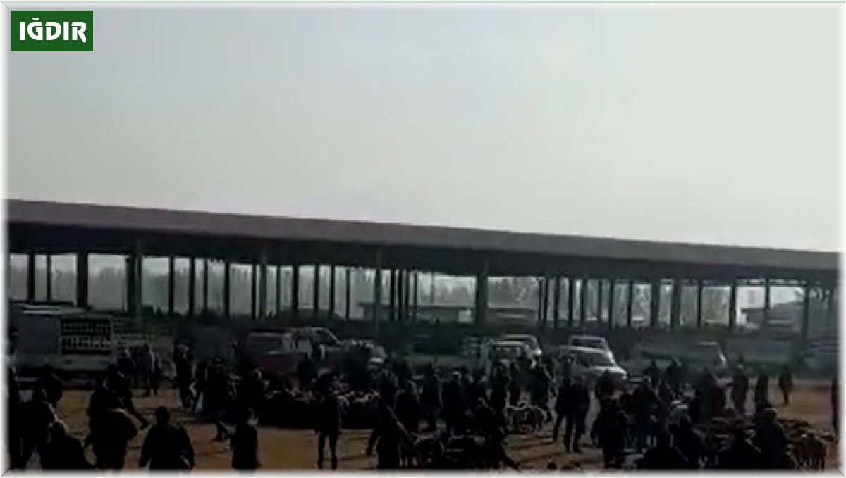 Mezbahaneden kaçan boğa hayvan pazarını birbirine kattı: 1 yaralı