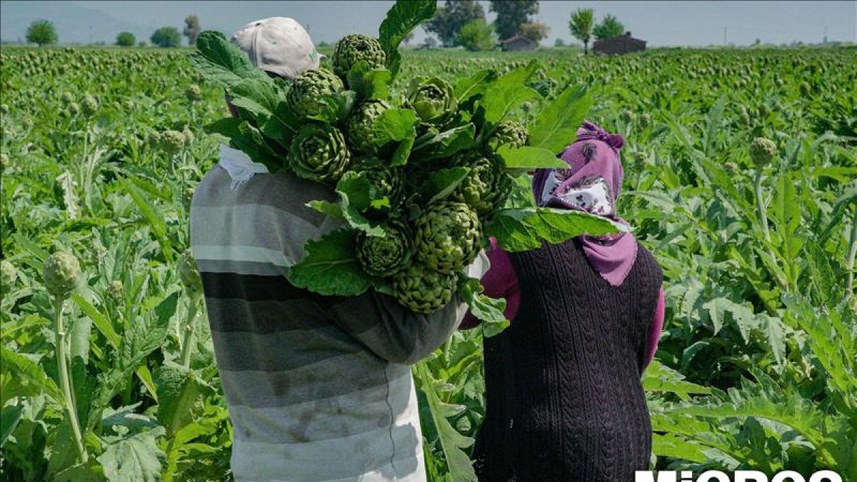 Migros gıda perakende sektörünün ilk Entegre Sürdürülebilirlik Raporu'nu yayınladı