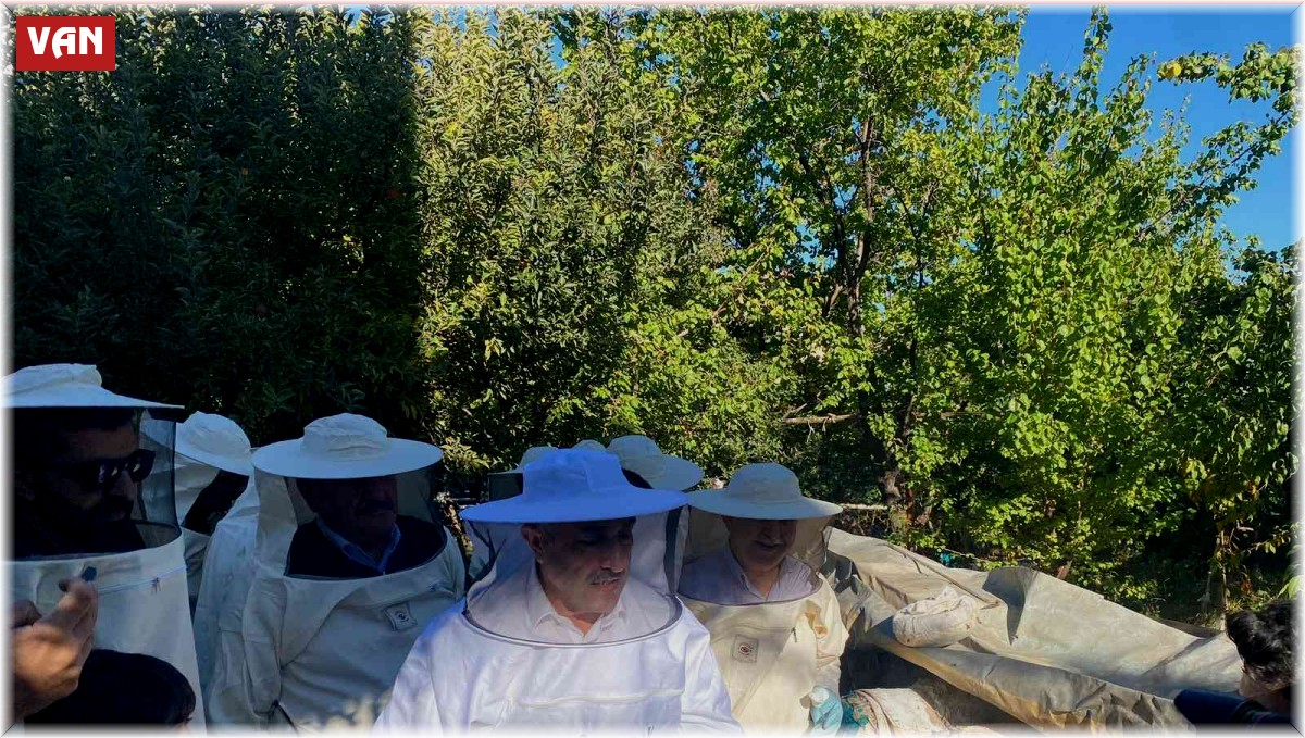 Milletvekili Arvas karakovan bal hasadı yaptı