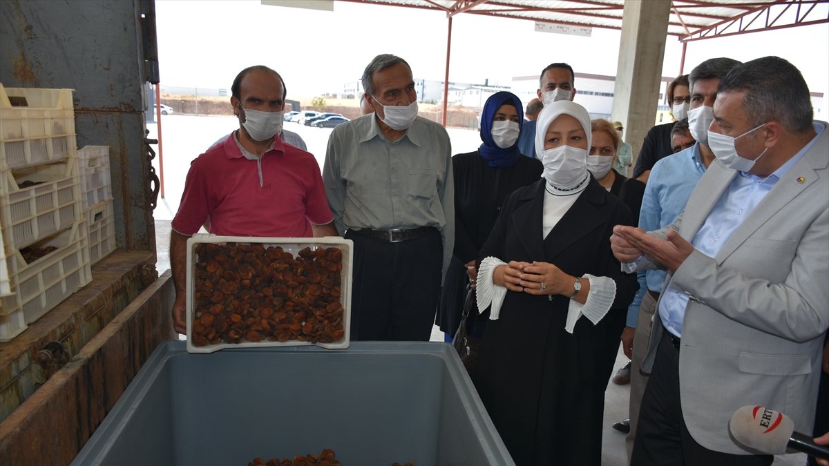Milletvekili Çalık kuru kayısı lisanslı deposunda incelemelerde bulundu