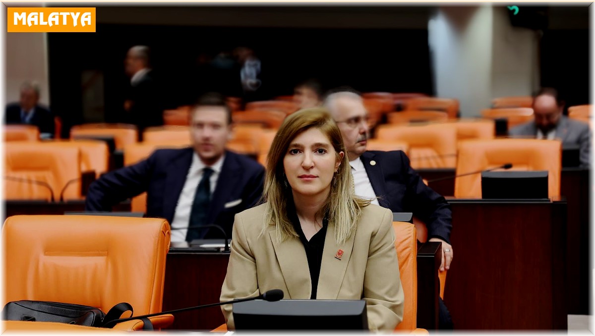 Milletvekili Ölmeztoprak'tan İsraile tepki