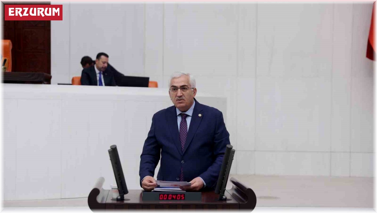 Milletvekili Öz: "Milli mücadelenin fitili Erzurum'dan ateşlendi"
