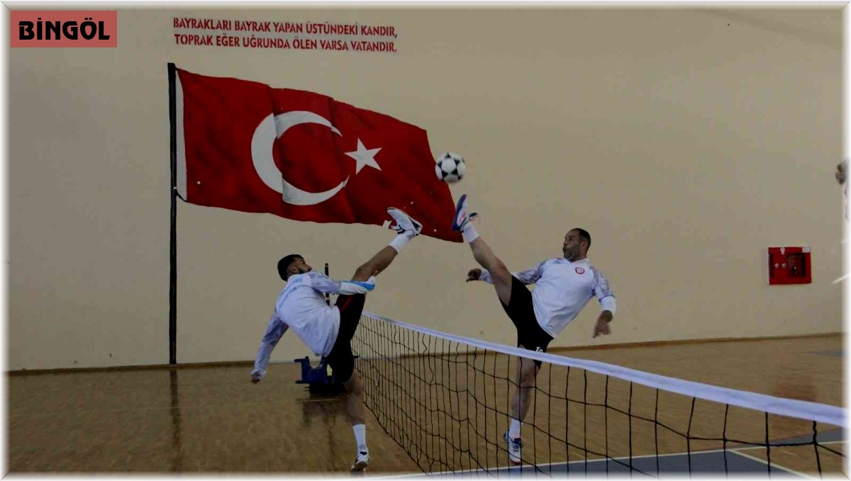 Milli formayı giyen sporcular, Avrupa üçüncüsü oldu