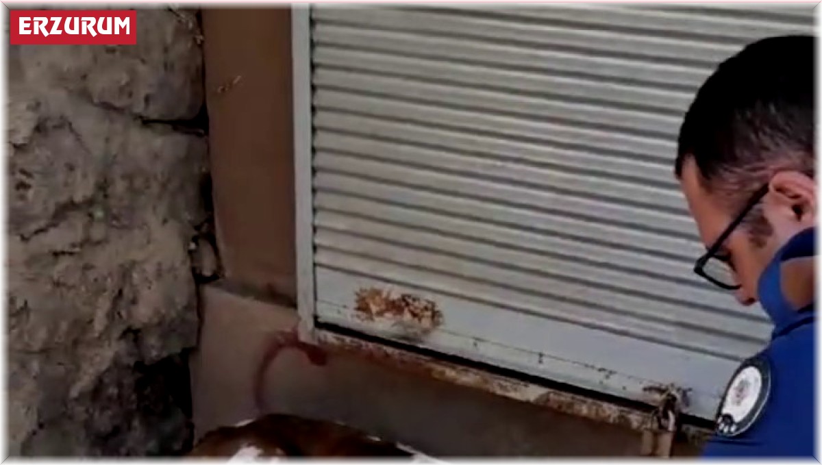 Minik buzağıya polisten şefkat eli