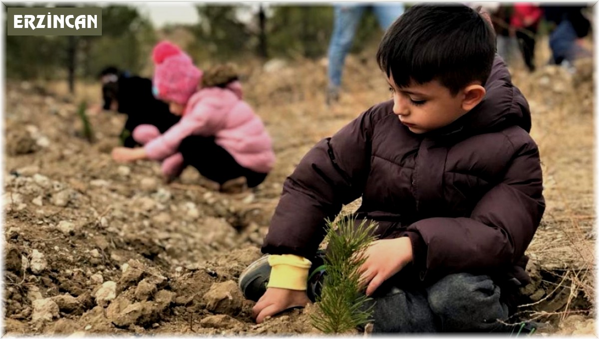Minik eller fidanları toprakla buluşturuyor