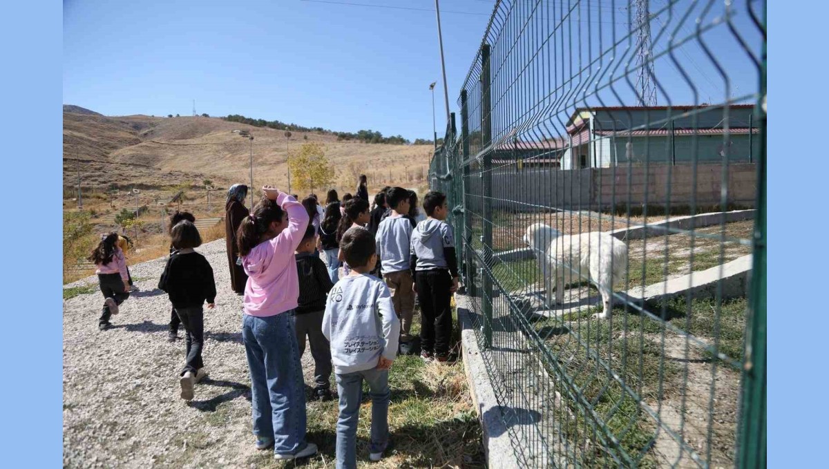 Minik öğrenciler patili dostlarını ziyaret etti