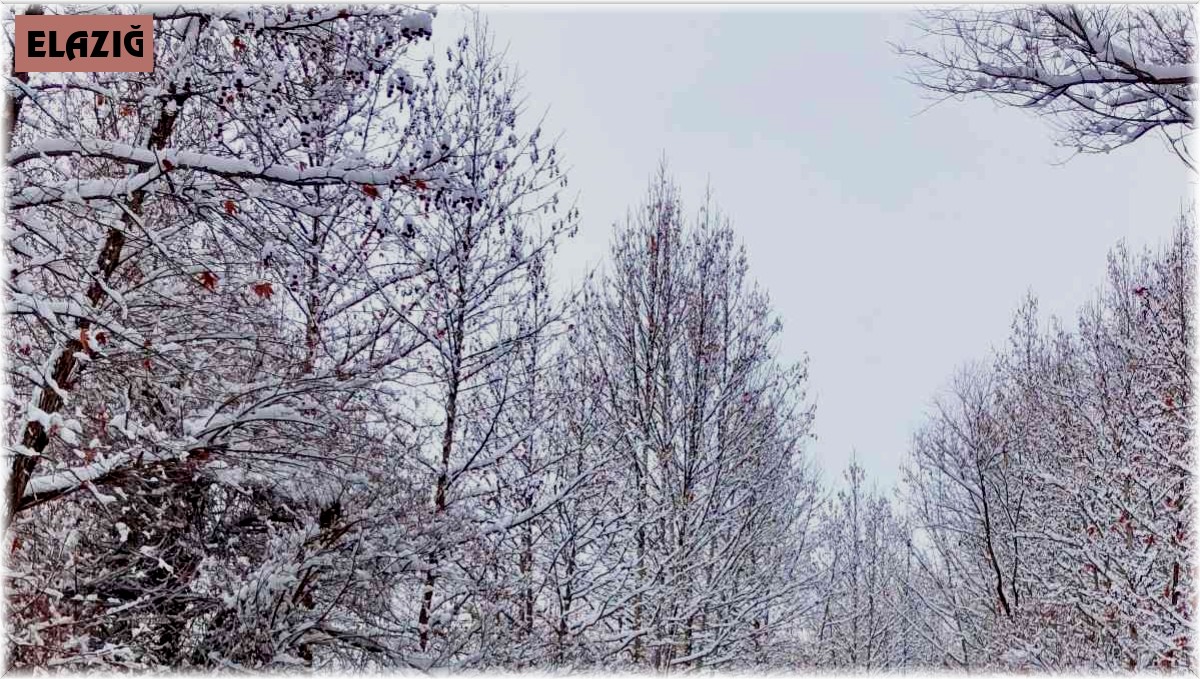 Mirvan Çayı, dört mevsim farklı güzelliğiyle göz kamaştırıyor