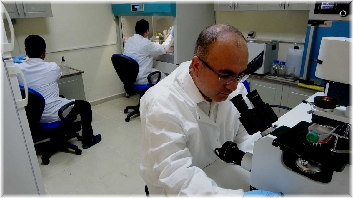 MŞÜ'de kanser tedavisine elektrokemoterapi çözümü