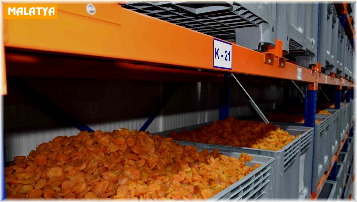 MTB Başkanı Özcan: "Kayısı ihracatında 100 bin tonu hedefliyoruz"