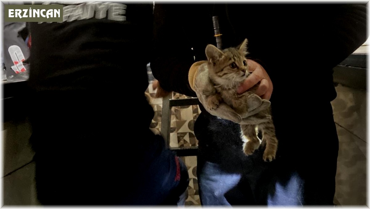 Muayeneye götürdüğü otomobilin tamponundan çıkan kediyi itfaiye kurtardı